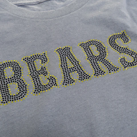 Rhinestone bears design
